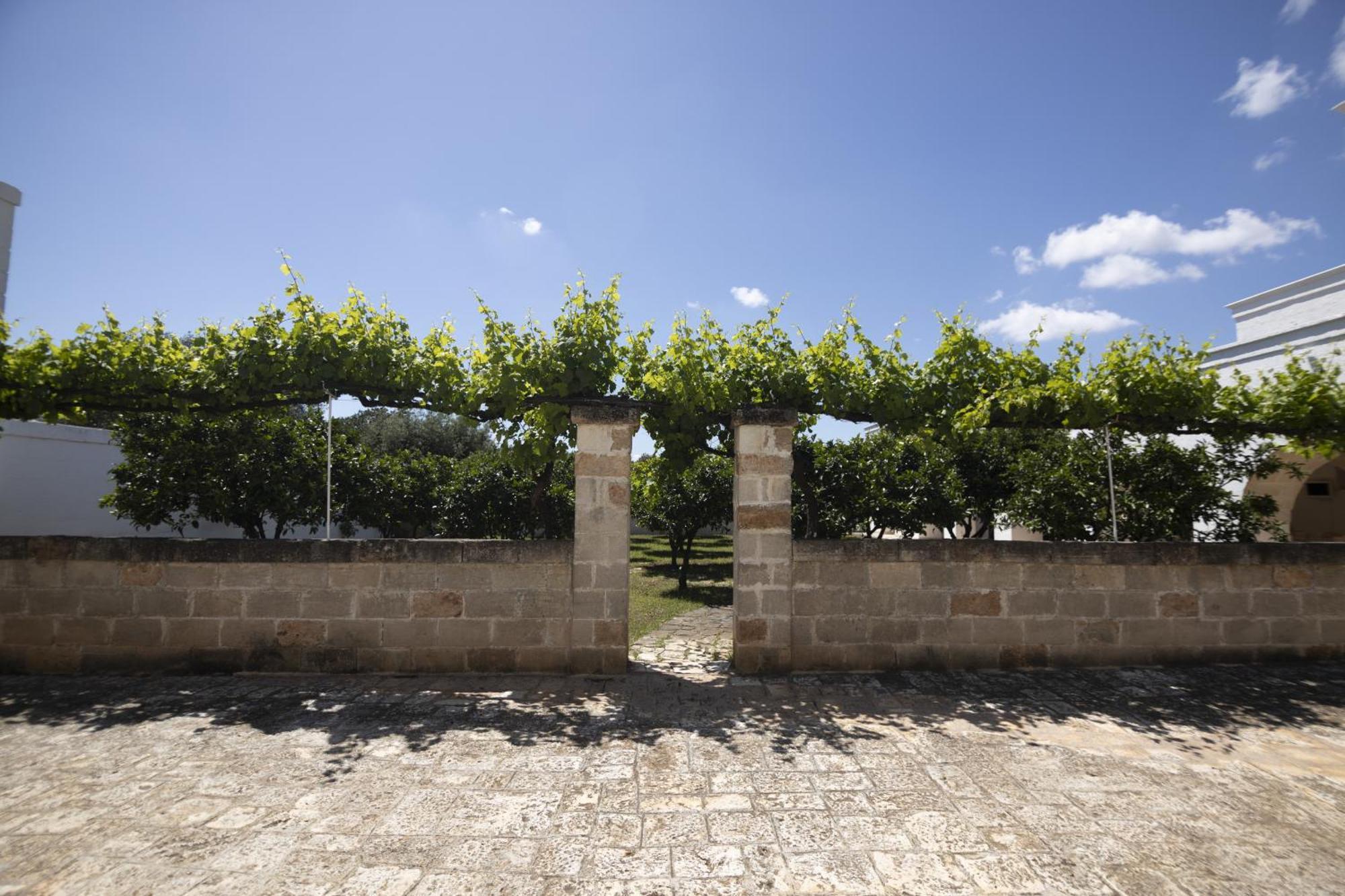 Masseria Palmo フランカヴィッラ・フォンターナ エクステリア 写真