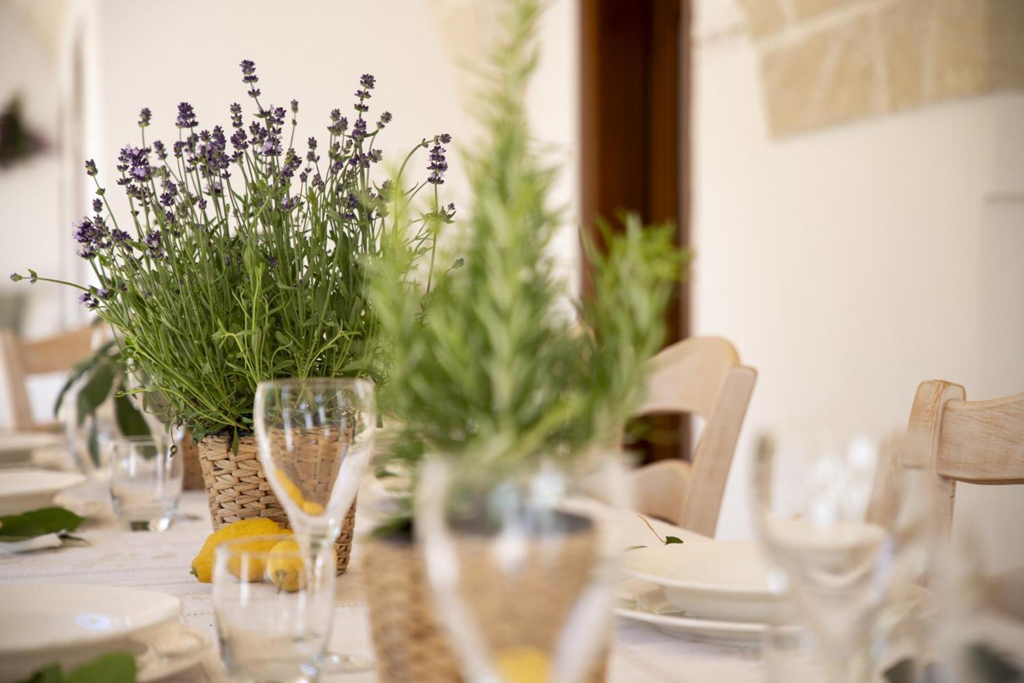 Masseria Palmo フランカヴィッラ・フォンターナ エクステリア 写真