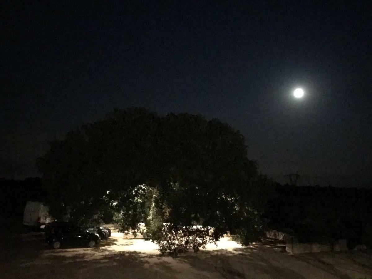 Masseria Palmo フランカヴィッラ・フォンターナ エクステリア 写真