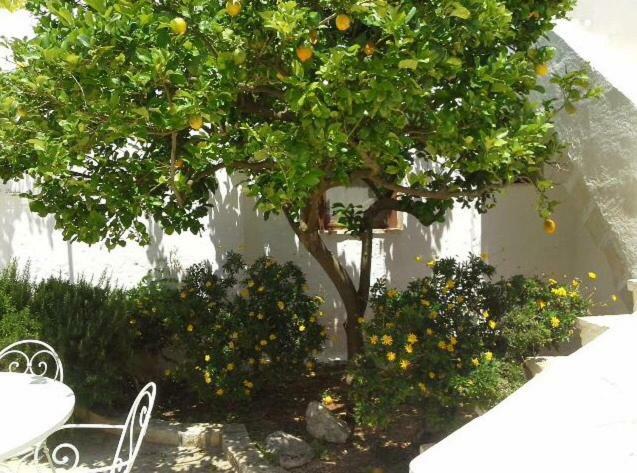 Masseria Palmo フランカヴィッラ・フォンターナ エクステリア 写真